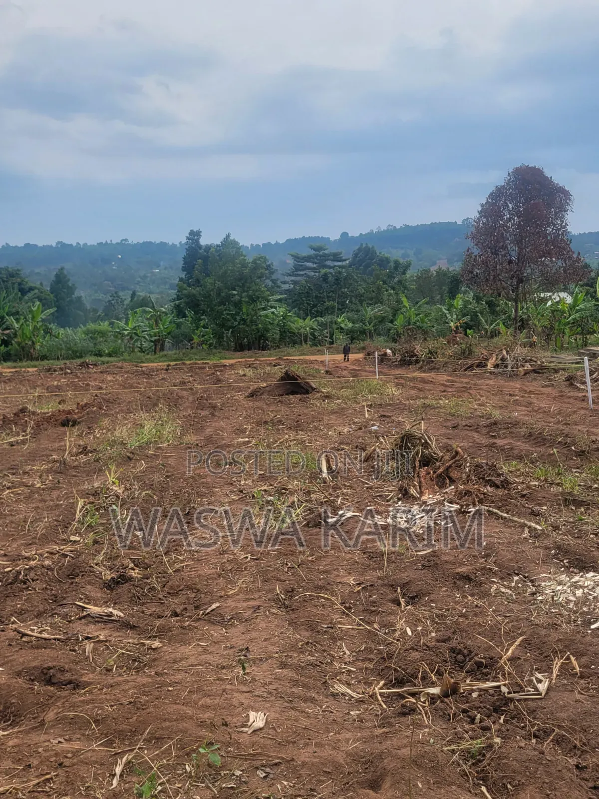50 by 100ft Plots at 7m Located at Kyanuna,Namayumba