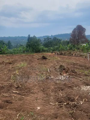 50 by 100ft Plots at 7m Located at Kyanuna,Namayumba