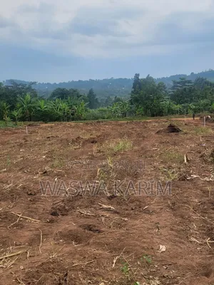 50 by 100ft Plots at 7m Located at Kyanuna,Namayumba