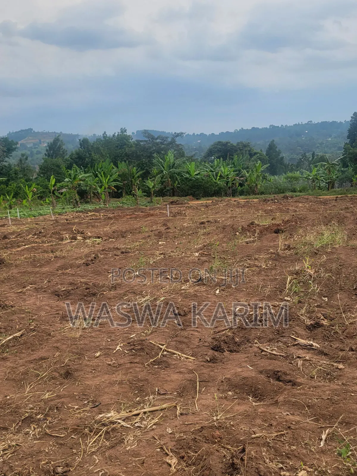 50 by 100ft Plots at 7m Located at Kyanuna,Namayumba