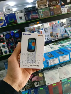 New Samsung B310 Silver