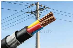 4mm 3 Core Armoured/Underground Cable
