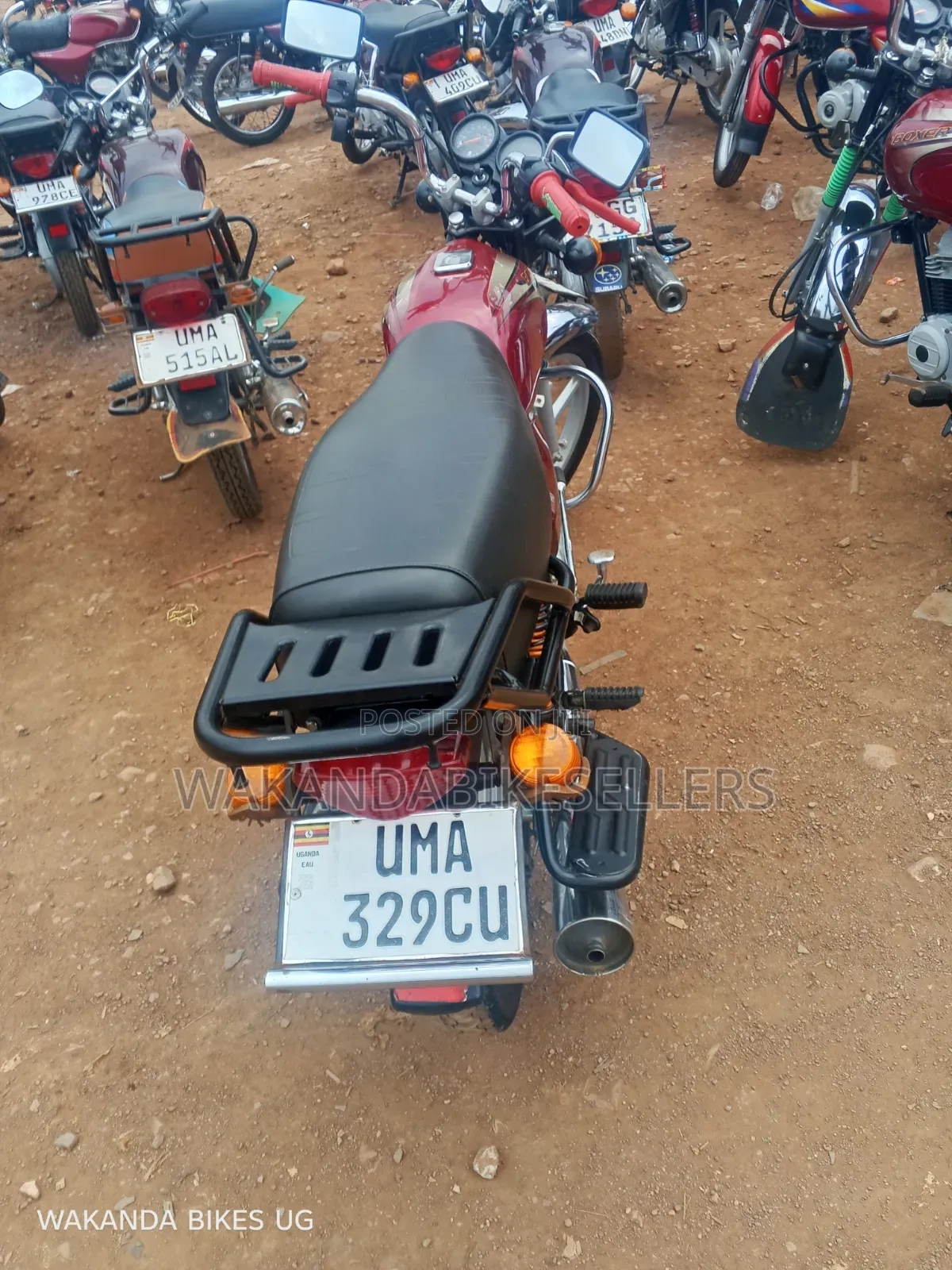Bajaj Boxer 100 2025 Red