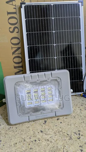 Blue Carbon Flood Light