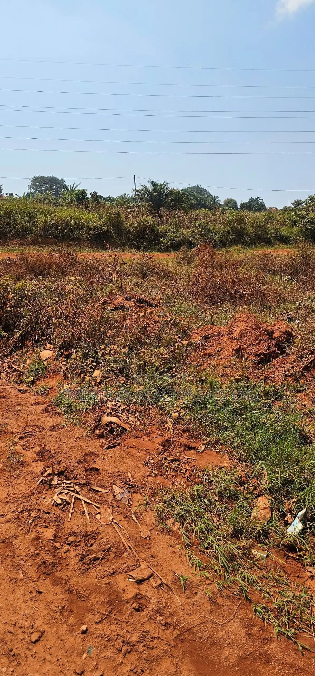 Land for Sale – Kiwologoma Town