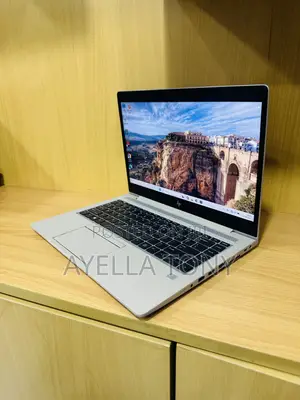 New Laptop HP EliteBook 745 G6 8GB AMD Ryzen 5 SSD 512GB