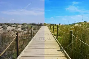 Photo Editing Background Removal - You Send, I Edit
