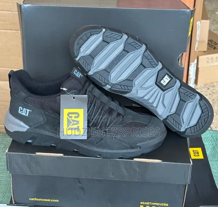 Cat Sheo Grey and Black