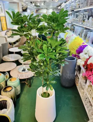 Premium Artificial Dwarf Umbrella Tree– Luxury Indoor Decorative Plant