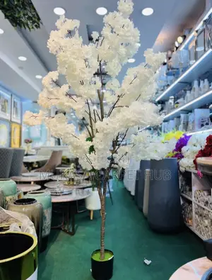 White Cherry Blossom Plant