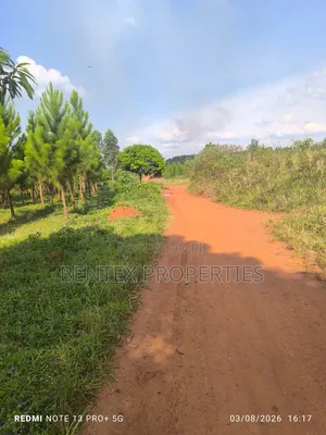 25 Acres for Sale in Kakooge Luweero Each at 15m