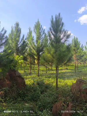 25 Acres for Sale in Kakooge Luweero Each at 15m
