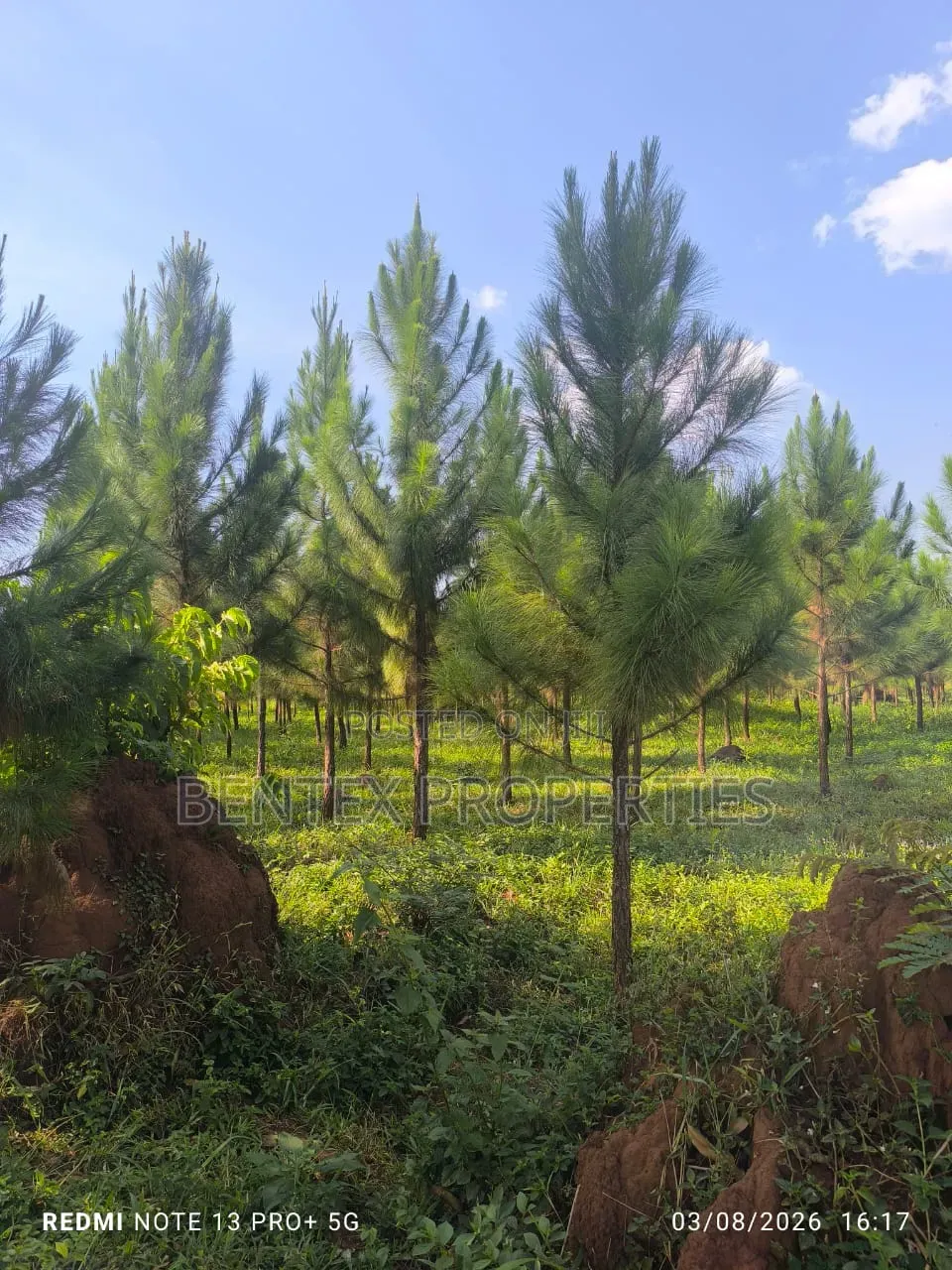 25 Acres for Sale in Kakooge Luweero Each at 15m