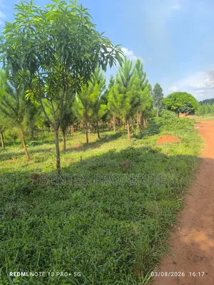 25 Acres for Sale in Kakooge Luweero Each at 15m