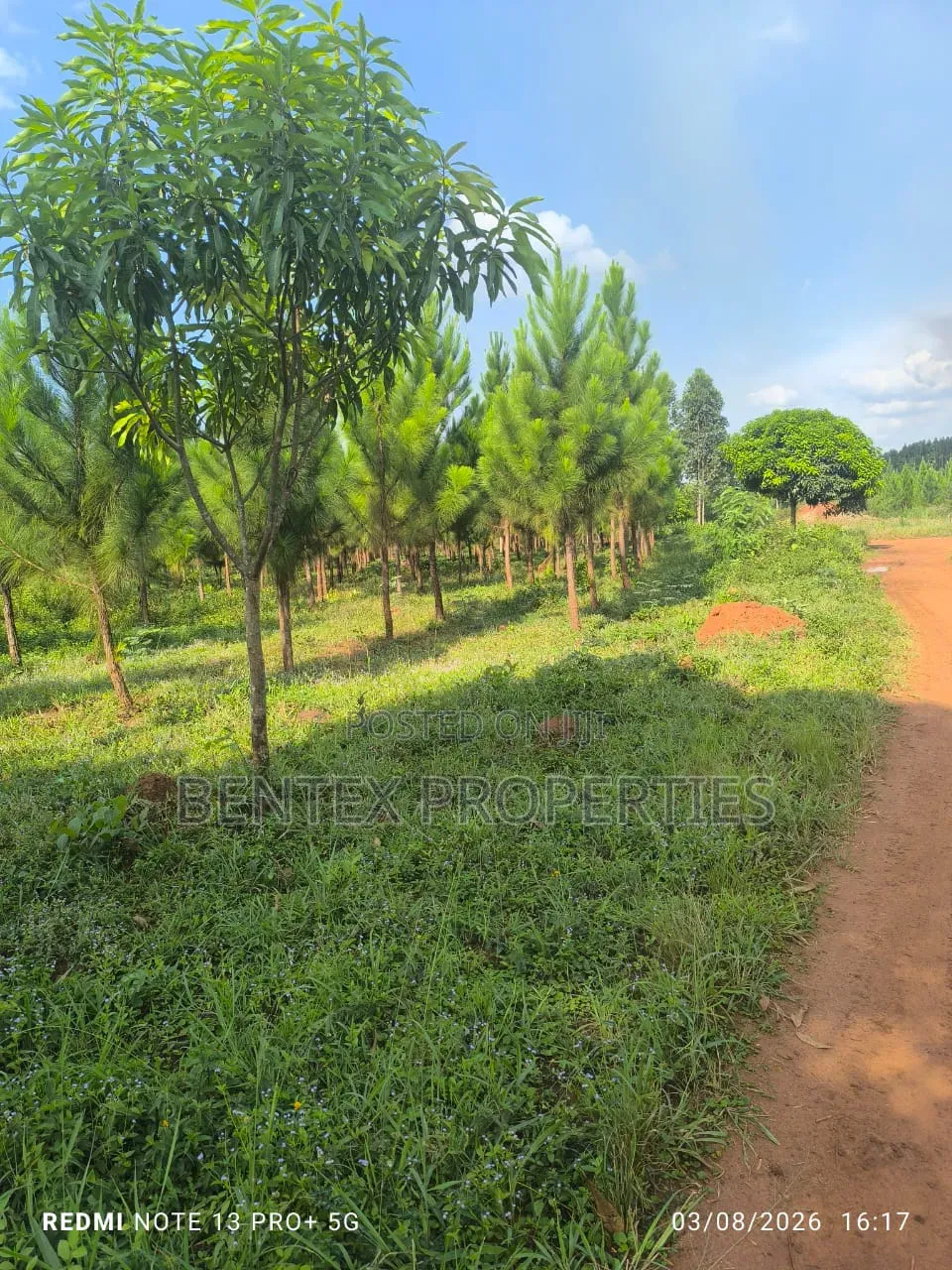 25 Acres for Sale in Kakooge Luweero Each at 15m