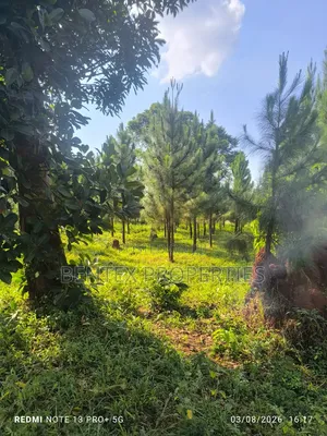 25 Acres for Sale in Kakooge Luweero Each at 15m