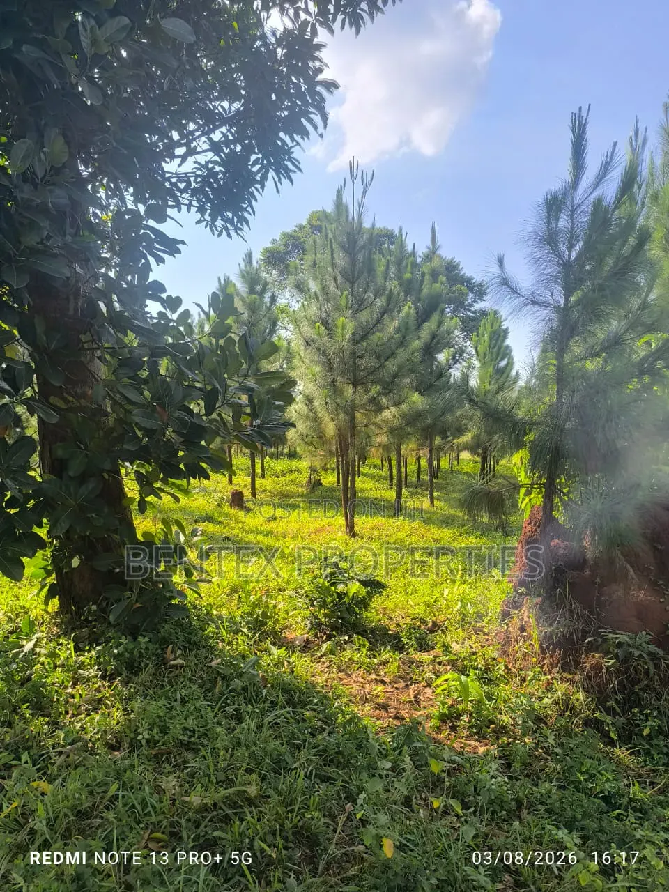 25 Acres for Sale in Kakooge Luweero Each at 15m