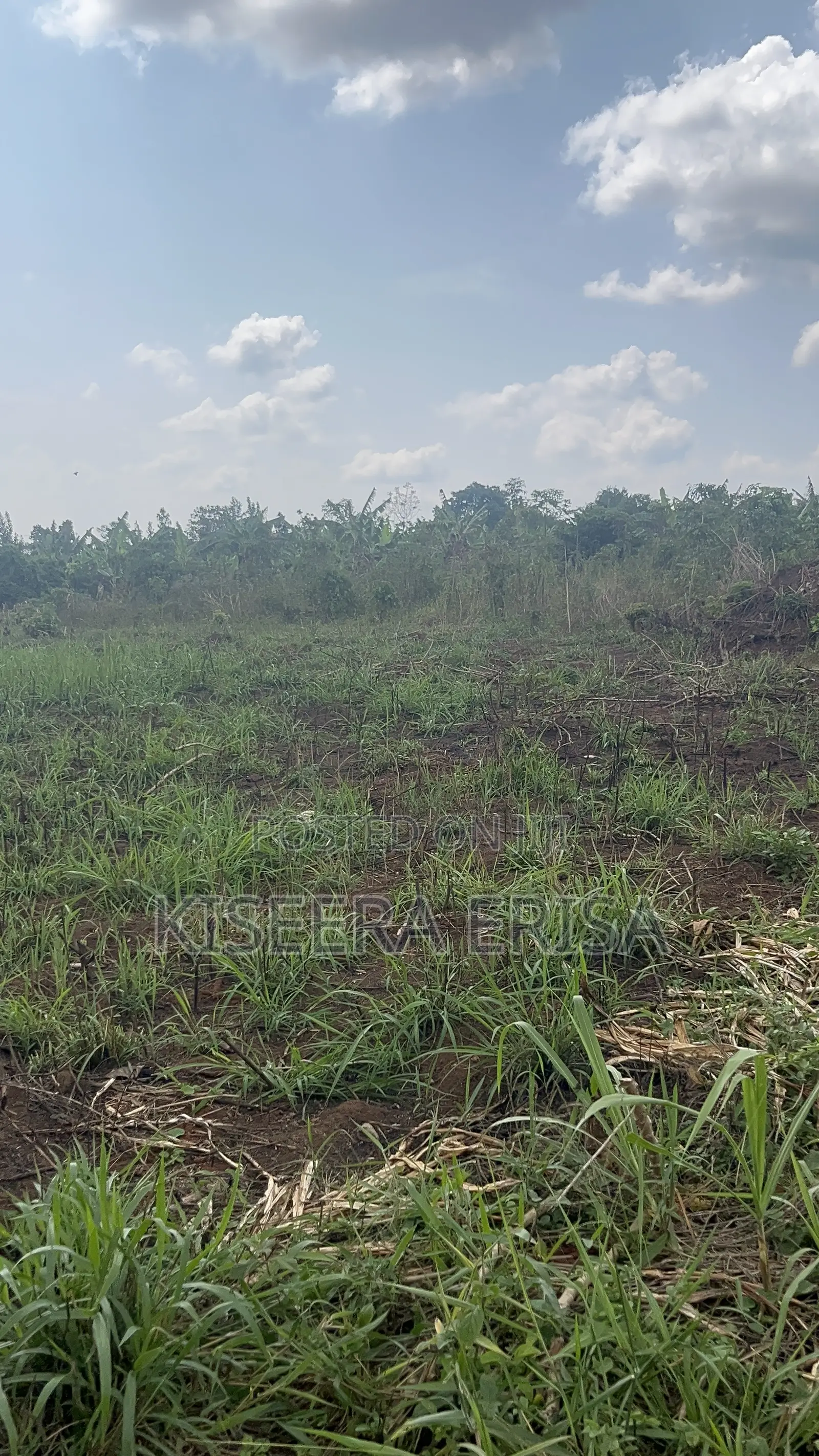 MUKONO KIYUNGA Land for Sale