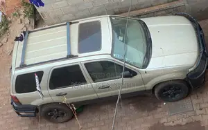 Ford Escape 2005 Gold