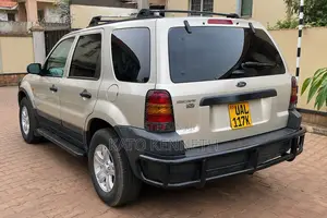 Ford Escape 2005 Gold