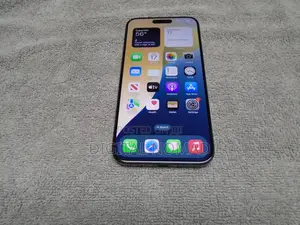 Apple iPhone 15 Pro Max 256 GB Gray