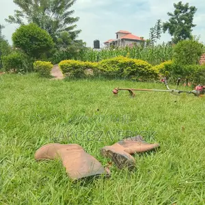 Lawn Care( Grass and Hedges Trimmings)