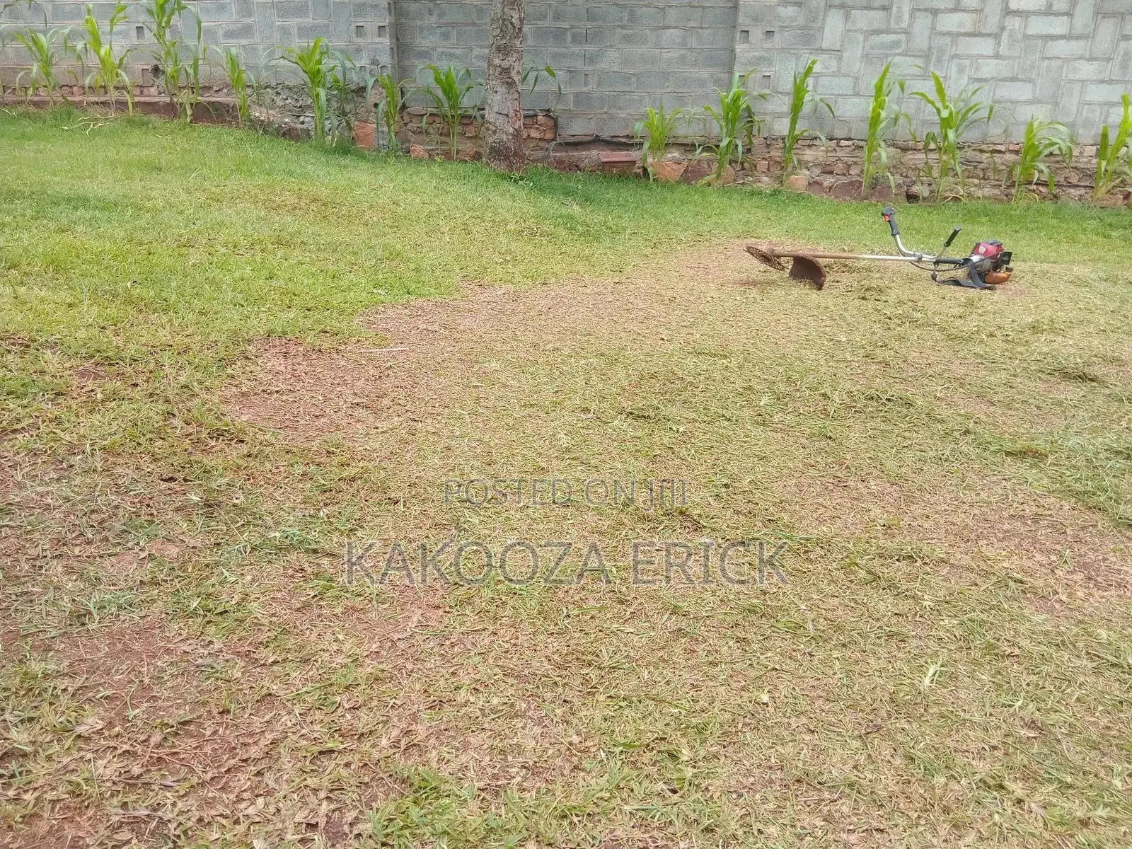 Lawn Care( Grass and Hedges Trimmings)