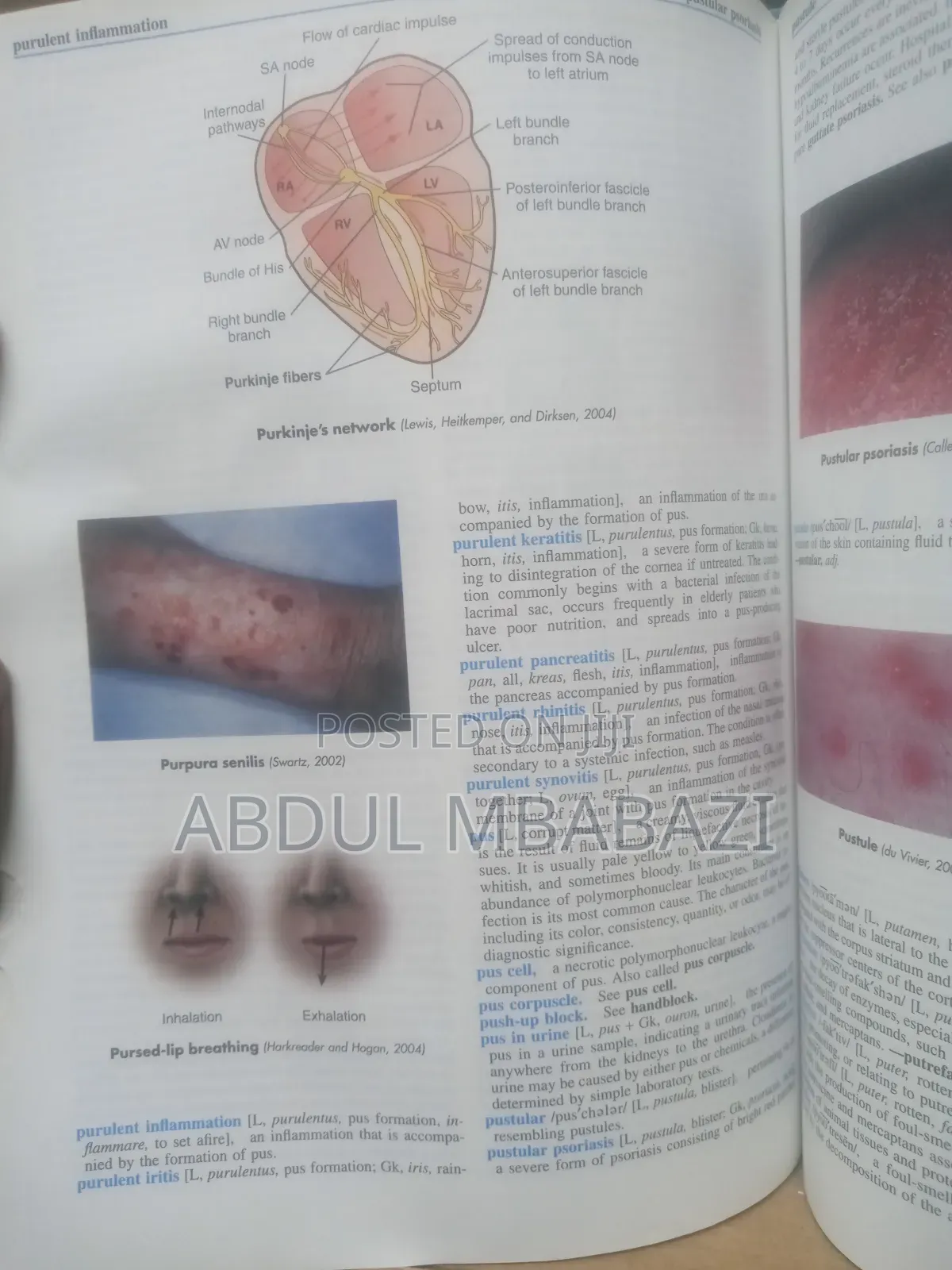 Dictionary of Medicine Nursing
