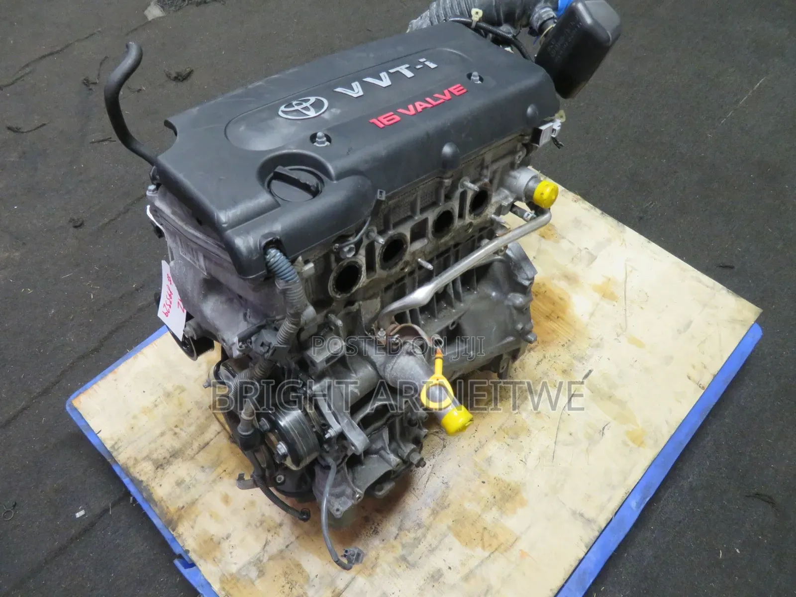 Engine Skeleton(Akawanga) of 2AZ