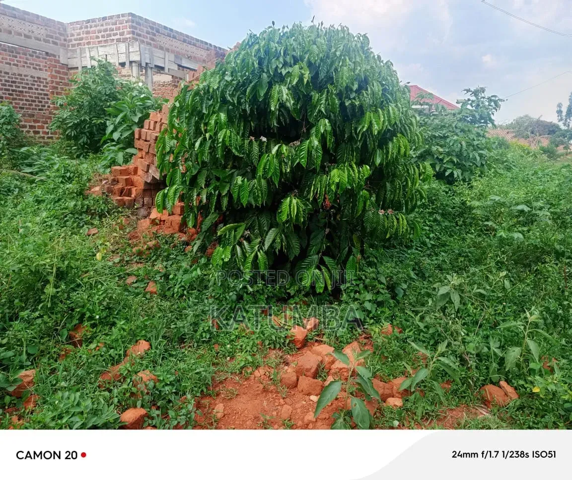Plot of Land on Sale