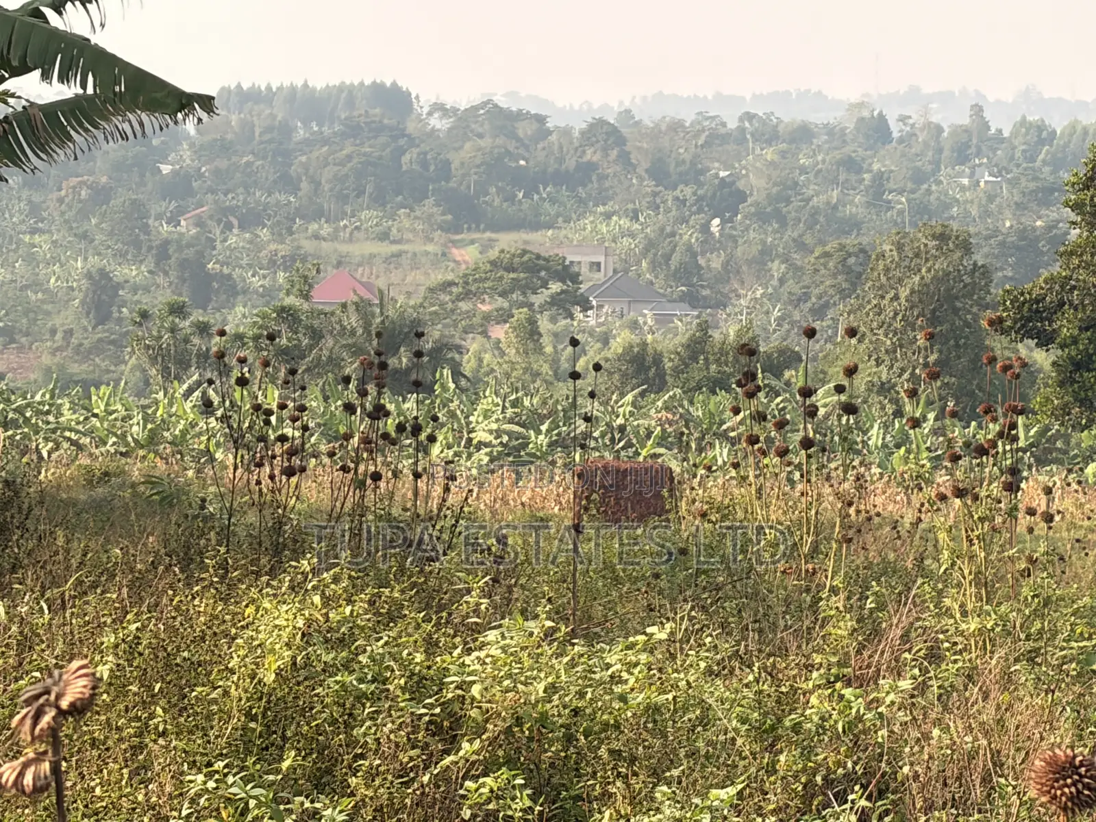 Land for Sale at Kabembe