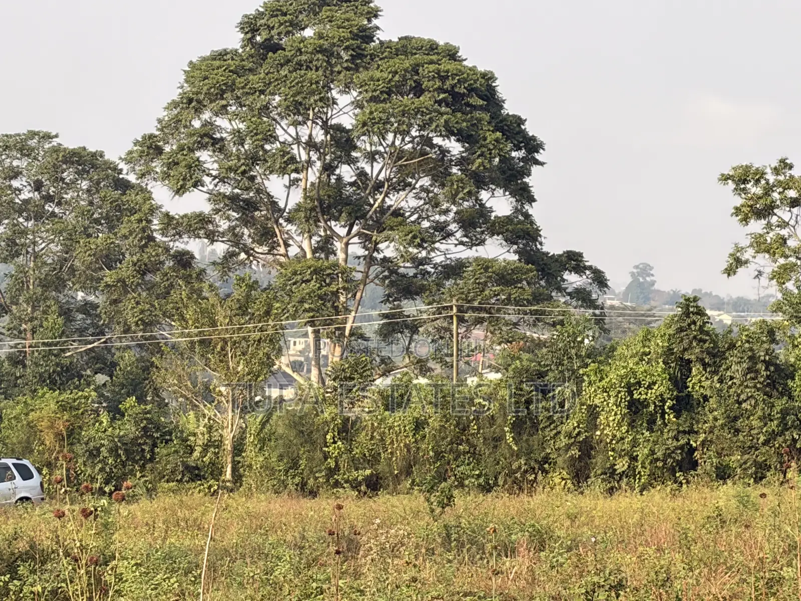 Land for Sale at Kabembe