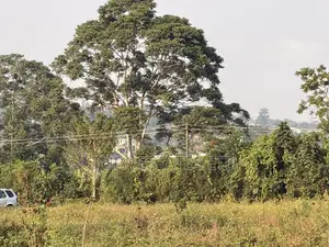 Land for Sale at Kabembe