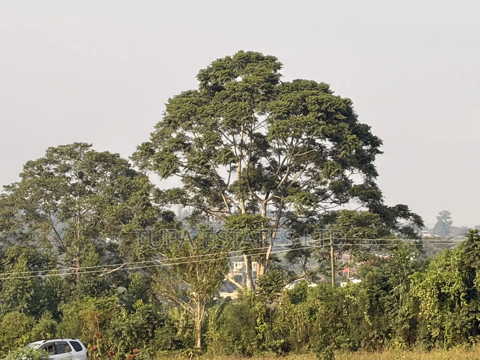 Land for Sale at Kabembe