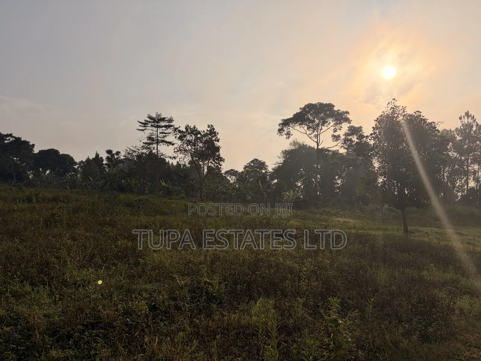 Land for Sale at Kabembe