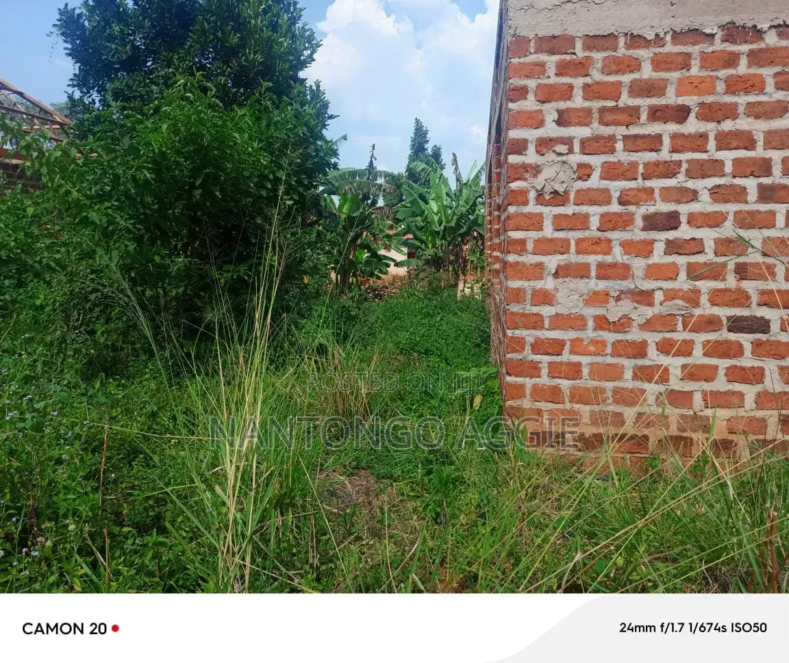 Plot of Land for Sale