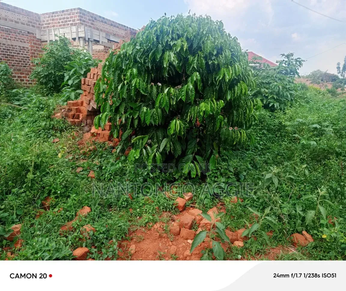 Plot of Land for Sale