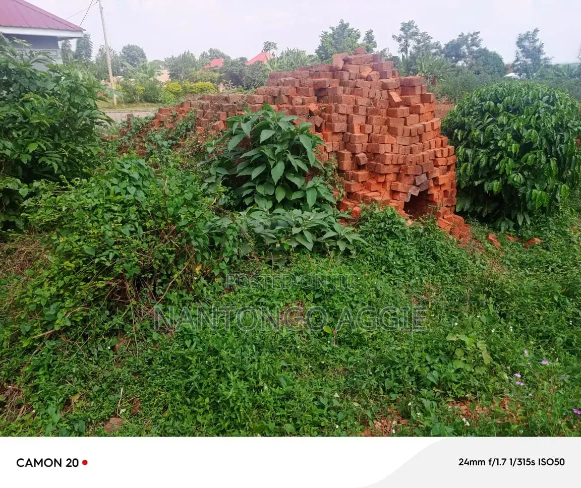 Plot of Land for Sale