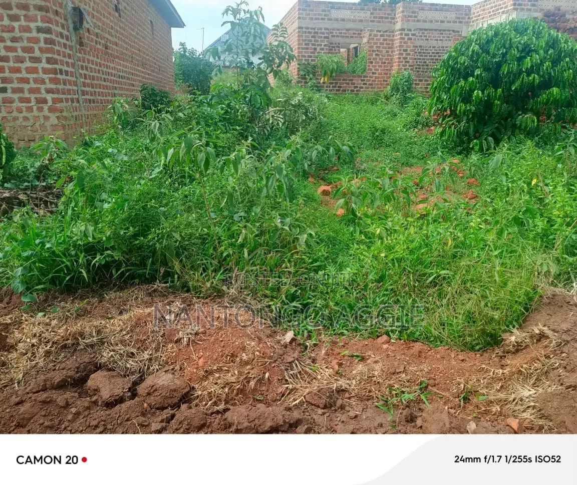 Plot of Land for Sale