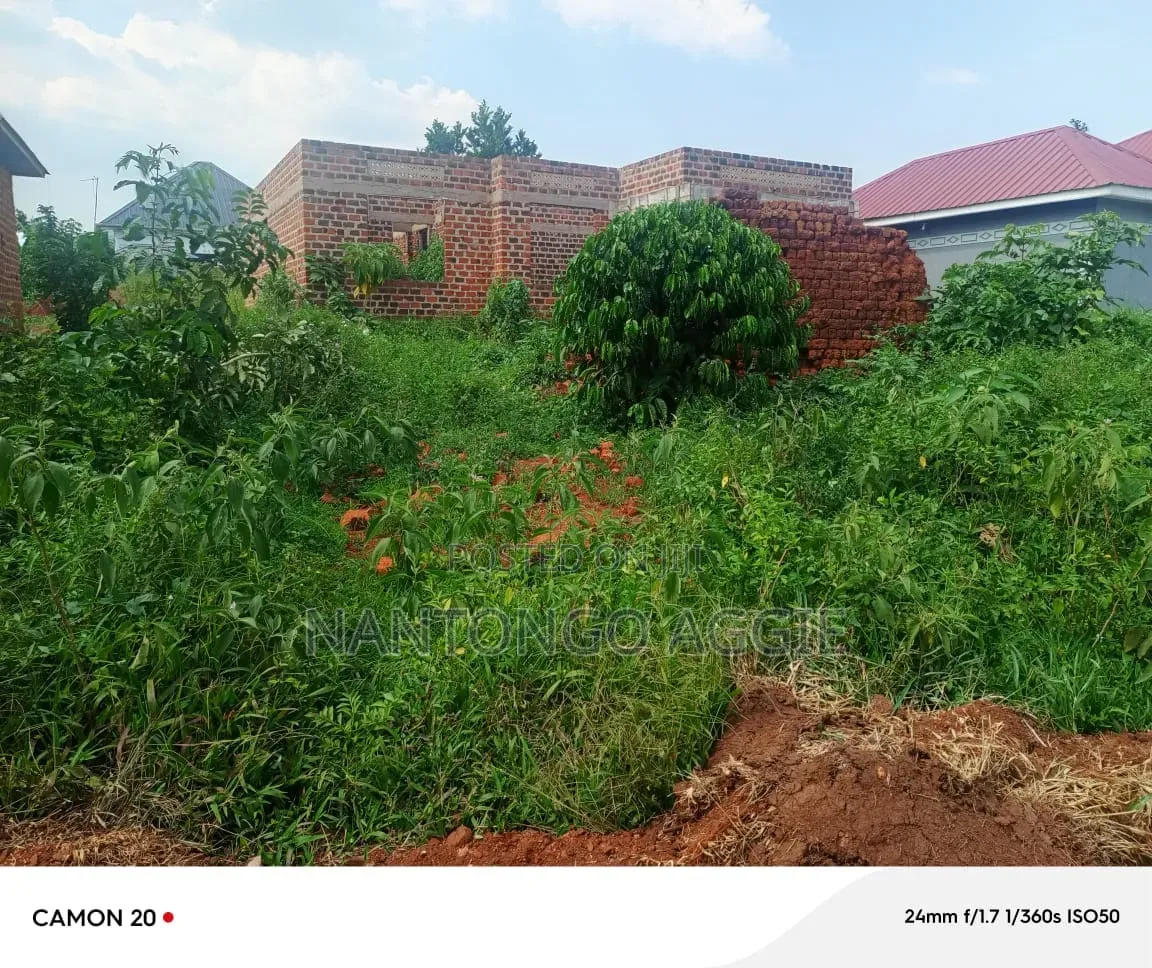 Plot of Land for Sale