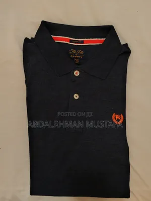 Max Brand and the Polo by ALcott Shirts