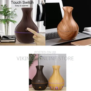 Vase Body Design Aromatherapy Electric Air Freshener Humidifier Warm