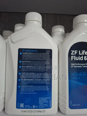 ZF Lifeguard 6