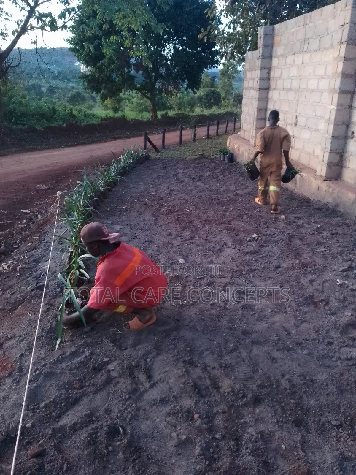 Best Gardening Services You Need