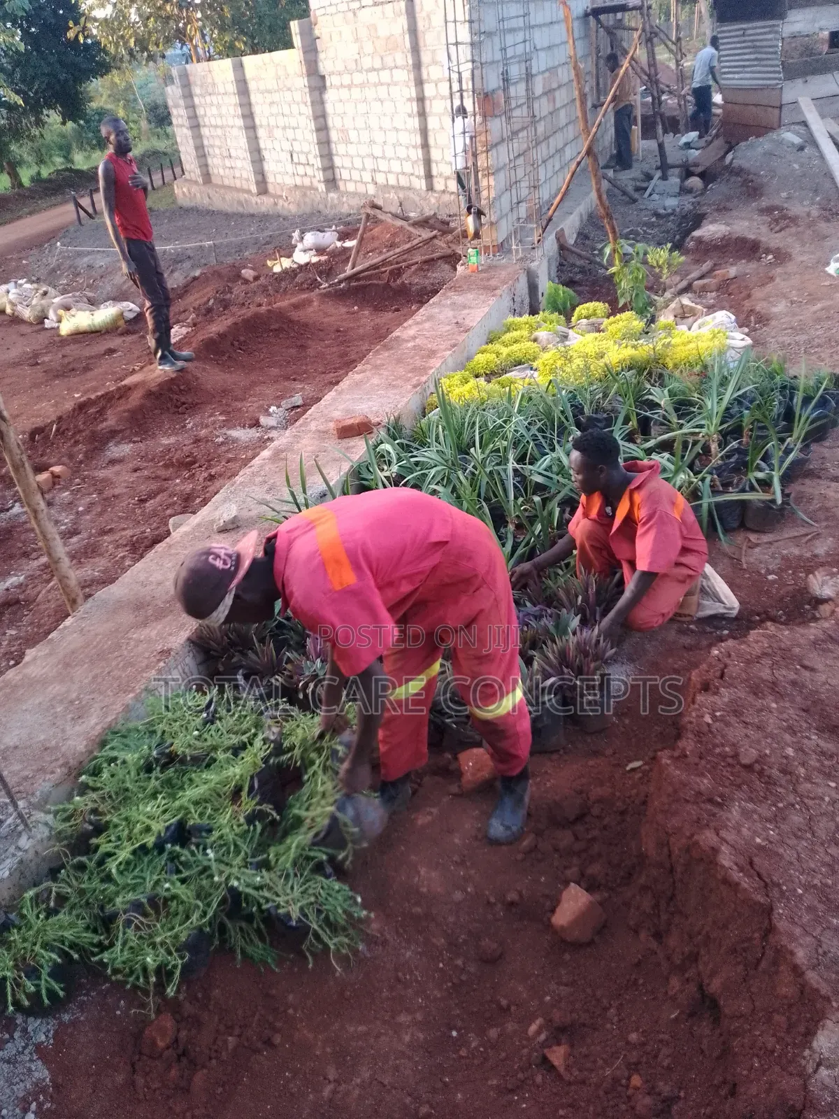 Best Gardening Services You Need