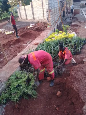 Best Gardening Services You Need