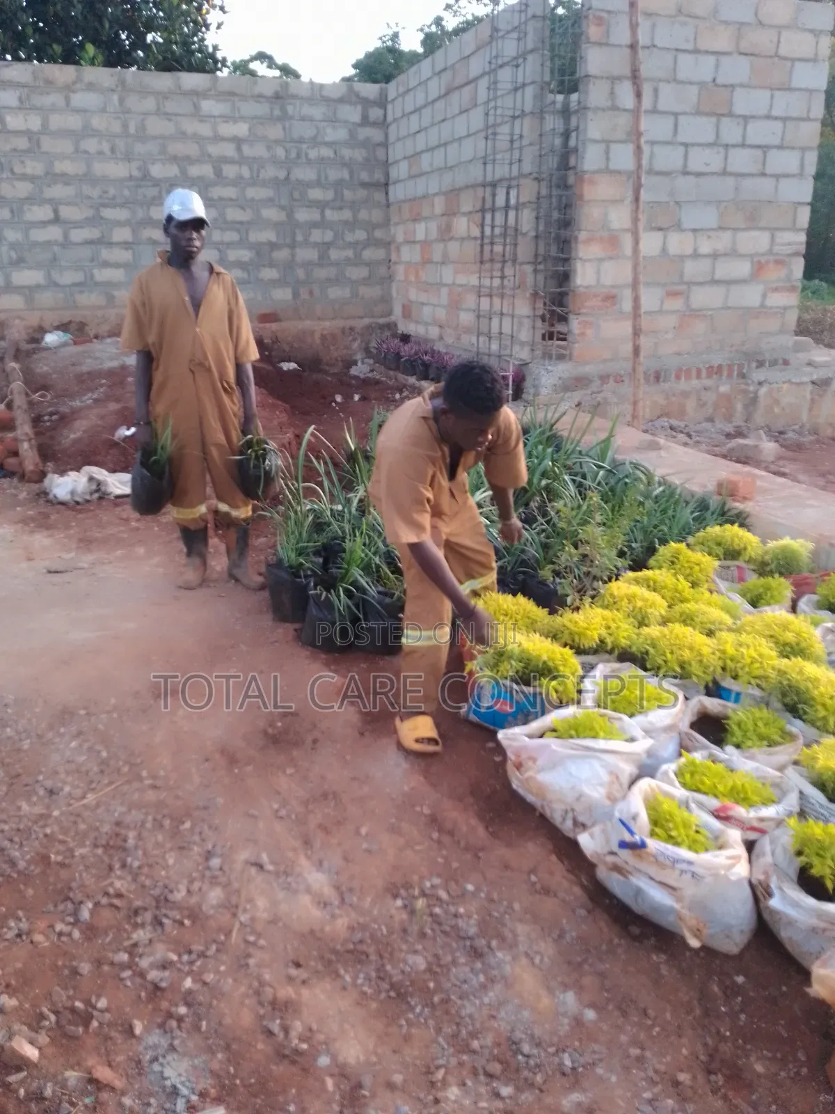 Best Gardening Services You Need