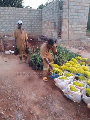Best Gardening Services You Need