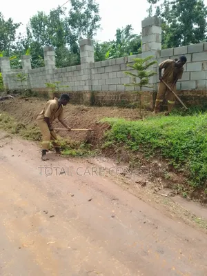 Best Gardening Services You Need