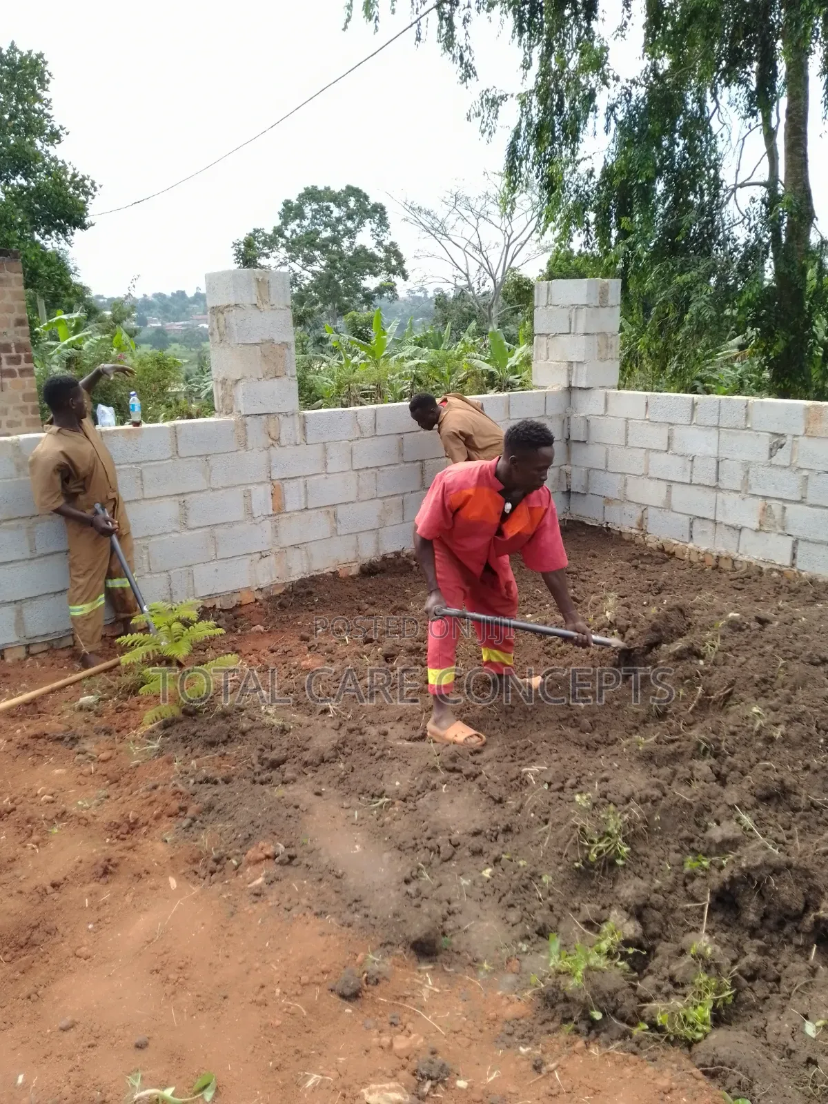Best Gardening Services You Need